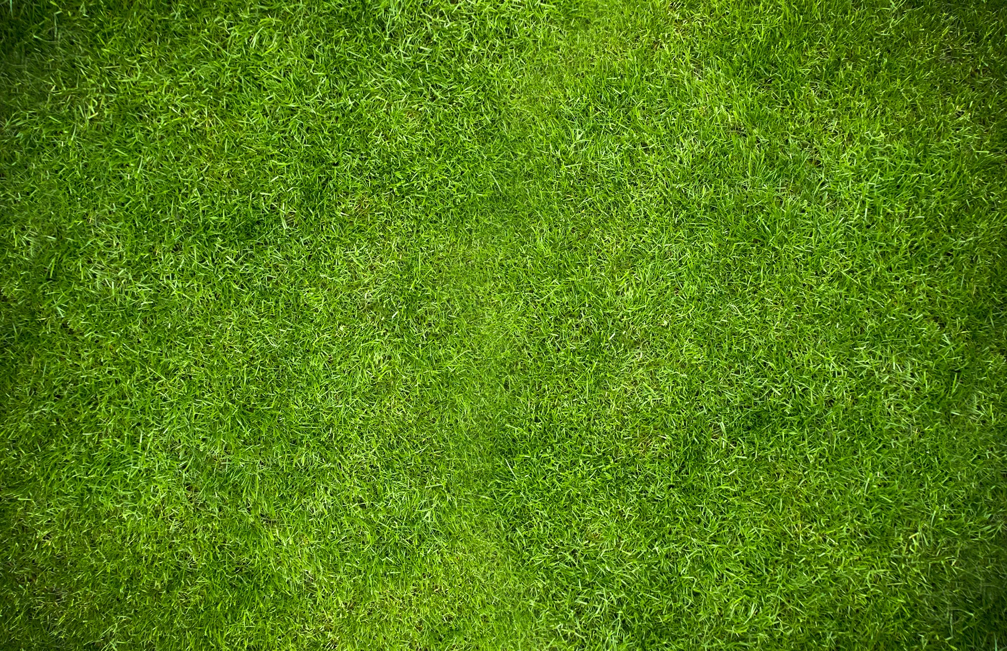 home-community-background